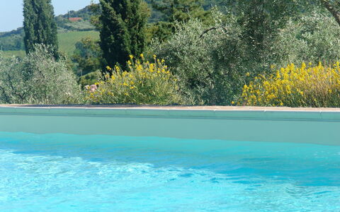 Tenuta Le Sodole: Acqua, Cielo, Pianta, Proprietà, Piscina, Comunita 'Impianto, Albero, Natura, Azzurro, Paesaggio Naturale