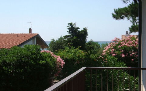 Casa Argentario: Pianta, Costruzione, Cielo, Proprietà, Fiore, Legna, Albero, Casa, Zona Residenziale, Immobiliare