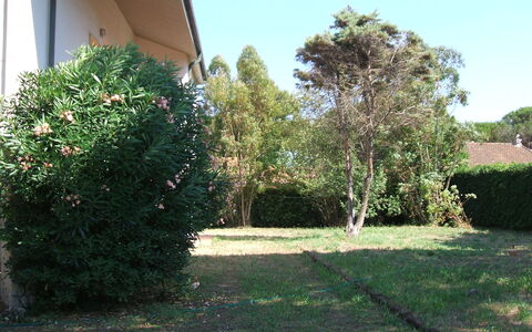 Casa Argentario: Pianta, Proprietà, Cielo, Albero, Lotto, Manto Stradale, Shade, Erba, Groundcover, Paesaggio Naturale