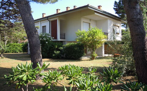 Casa Argentario: Pianta, Cielo, Proprietà, Costruzione, Finestra, Albero, Botanica, Vegetazione, Erba, Casa