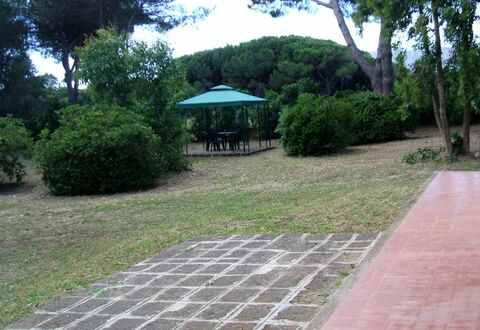 Giannella Holiday Apartment: Pianta, Proprietà, Foglia, Albero, Botanica, Shade, Manto Stradale, Vegetazione, Lotto, Erba