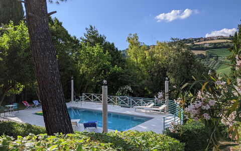 Villa Millefiori: Acqua, Pianta, Nube, Cielo, Risorse Idriche, Natura, Paesaggio Naturale, Piscina, Albero, Vegetazione
