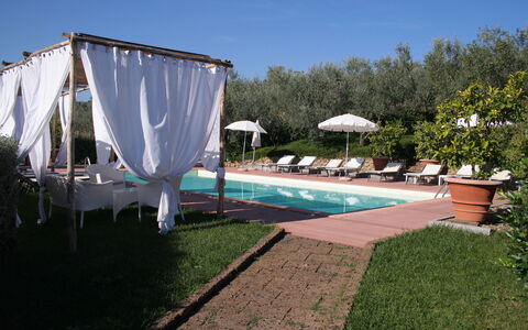 Il Fienile Holiday Home: Pianta, Cielo, Acqua, Ombrello, Shade, Piscina, Mobili Da Esterno, Vaso Di Fiori, Erba