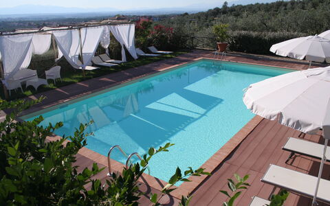 Il Fienile Holiday Home: Acqua, Pianta, Cielo, Piscina, Costruzione, Azzurro, Shade, Mobili Da Esterno, Corpo D'Acqua, Albero