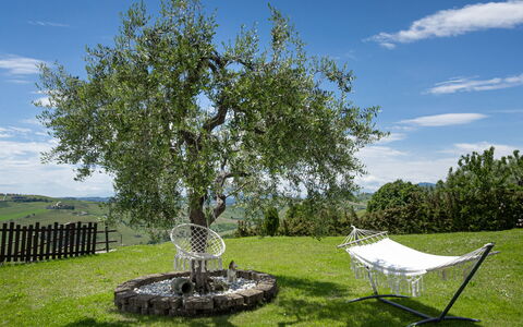 La Casa Di Campagna: Erba, Ramo, Pascolo, Plain, Giardino, Tronco, Prato, Ramoscello, Woody Impianto, Prato