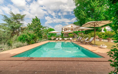 Villa La Picena: Acqua, Pianta, Cielo, Nube, Piscina, Albero, Costruzione, Arecales, Mobili Da Esterno, Erba