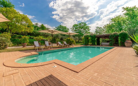 Villa La Picena: Nube, Acqua, Pianta, Piscina, Cielo, Albero, Sedia, Shade, Arecales, Erba