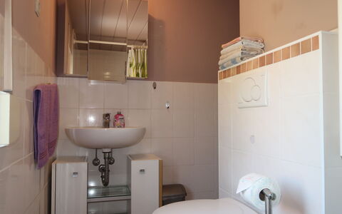 Leon: Rubinetto, Idraulico Fixture, Lavandino Del Bagno, Proprietà, Lavello, Gabinetto, Toilet Seat, Costruzione, Bagno, Viola