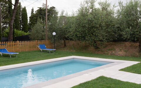 Villa le Pine: Acqua, Pianta, Piscina, Cielo, Shade, Rettangolo, Erba, Mobili Da Esterno, Tempo Libero, Immobiliare