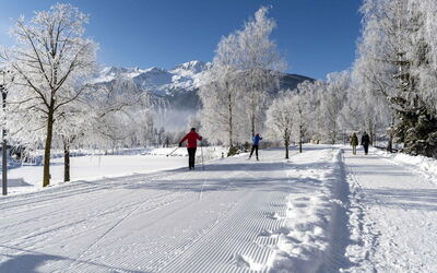 Alloggio:&nbsp;Superior # 5D mit Sauna 700.14