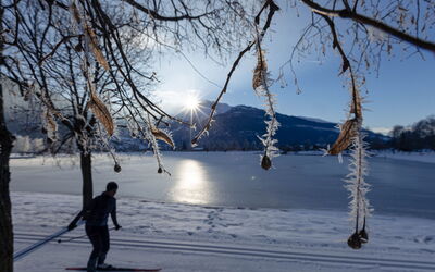Alloggio:&nbsp;Superior # 4D mit Sauna 700.12