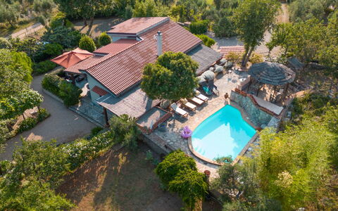 Hjort: Pianta, Albero, Costruzione, Architettura, Vegetazione, Urban Design, Piscina, Tempo Libero, Casa, Zona Residenziale