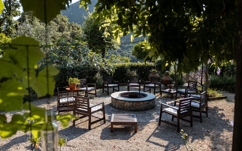 Hjort: Pianta, Shade, Mobili Da Esterno, Paesaggio Naturale, Manto Stradale, Albero, Tempo Libero, Erba, Paesaggio, Tinte E Ombre