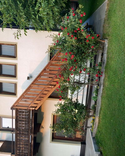 Ferwienwohnung Oberberghof