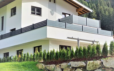Haus Goldmann
