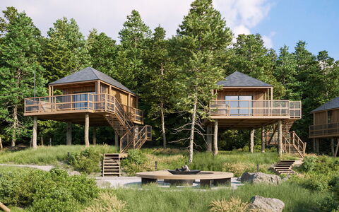 Premium Baumhaus mit 1 Schlafzimmer: Pianta, Cielo, Nube, Costruzione, Finestra, Paesaggio Naturale, Albero, Casa, Lotto, Erba