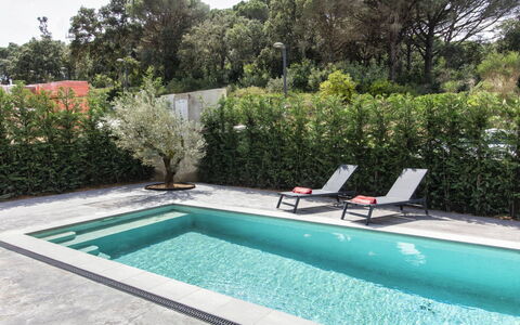 Alyssa: Pianta, Acqua, Proprietà, Mobilia, Costruzione, Tavolo, Finestra, Azzurro, Sedia, Interior Design