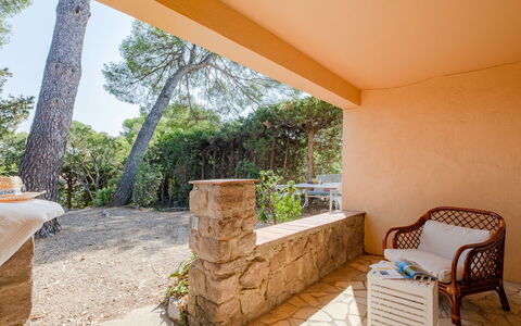 Marysol: Proprietà, Pianta, Shade, Sedia, Albero, Legna, Pavimentazione, Interior Design, Pavimento, Costruzione