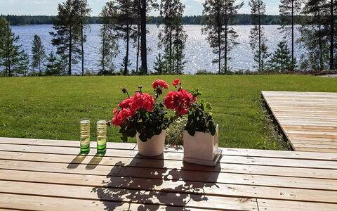 Paloranta: Legna, Pavimento In Legno, Latifoglie, Deck, Giardino, Mobili Da Esterno, Vaso Di Fiori, Plank, Color Legno