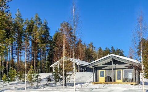 Paloranta: Albero, Legna, Ramo, Casa, Villetta, Tetto, Casa, Inverno, Neve, Congelamento