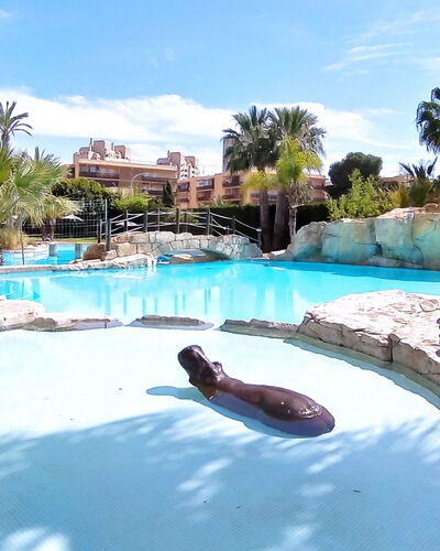 Bitacoras