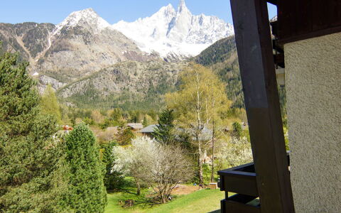 Alpen Roc: Pianta, Montagna, Cielo, Proprietà, Natura, Paesaggio Naturale, Shade, Highland, Albero, Biome