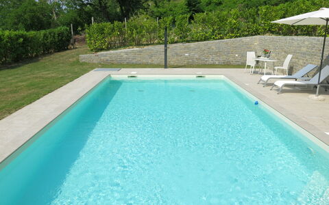 Castellaio: Acqua, Proprietà, Piscina, Pianta, Azzurro, Rettangolo, Shade, Legna, Erba, Tempo Libero