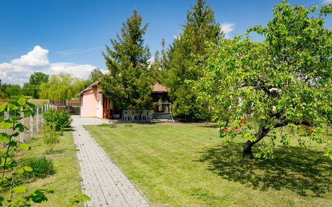 Pear Trees: Cielo, Pianta, Costruzione, Giorno, Proprietà, Albero, Urban Design, Quartiere, Zona Residenziale, Woody Impianto