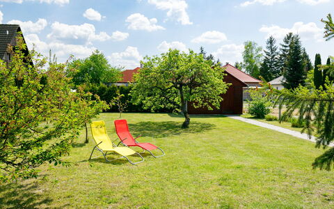 Pear Trees: Cielo, Pianta, Costruzione, Giorno, Proprietà, Albero, Urban Design, Quartiere, Zona Residenziale, Woody Impianto