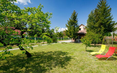 Pear Trees
