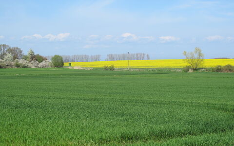 Philipp: Acqua, Tavolo, Tavola, Proprietà, Cielo, Mobilia, Costruzione, Finestra, Blu, Sedia