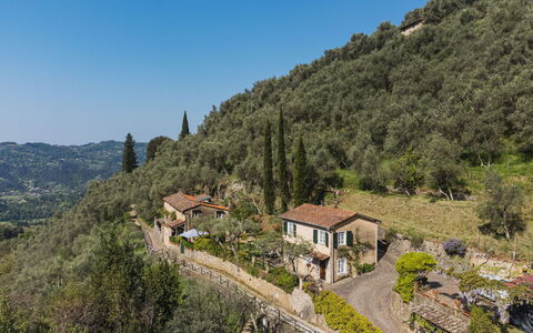 Il Glicine: Cielo, Pianta, Montagna, Comunita 'Impianto, Costruzione, Albero, Paesaggio Naturale, Highland, Casa, Terreno