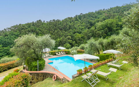 Santa Margherita: Pianta, Comunita 'Impianto, Cielo, Paesaggio Naturale, Albero, Ombrello, Vegetazione, Lotto, Mobili Da Esterno, Piscina