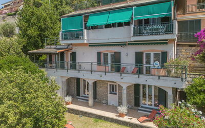 Lambrusca