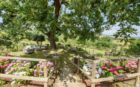 Villa Varna: Fiore, Pianta, Comunita 'Impianto, Albero, Petalo, Paesaggio Naturale, Vaso Di Fiori, Erba, Groundcover, Arbusto