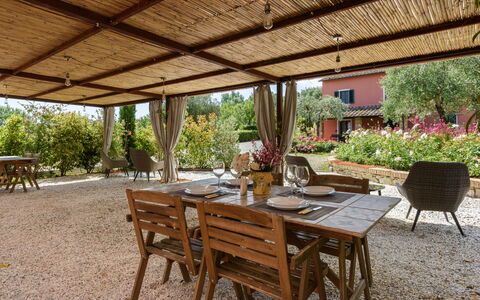 Villa Varna: Pianta, Tavolo, Mobilia, Proprietà, Sedia, Mobili Da Esterno, Tavolo Esterno, Interior Design, Shade, Albero