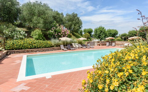 Villa Varna: Acqua, Nube, Cielo, Pianta, Piscina, Fiore, Albero, Corpo D'Acqua, Erba, Tempo Libero