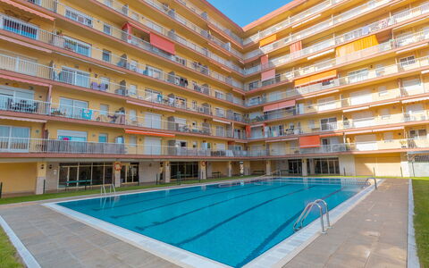 Nemesis: Costruzione, Cielo, Proprietà, Acqua, Piscina, Finestra, Azzurro, Pianta, Architettura, Shade