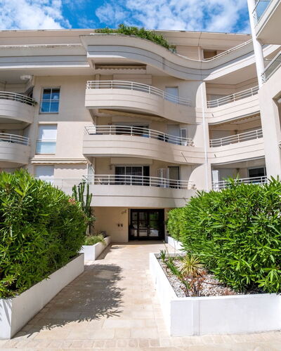 Cannes 595