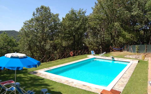 Le Piane: Pianta, Proprietà, Costruzione, Acqua, Azzurro, Blu, Piscina, Cielo, Shade, Albero