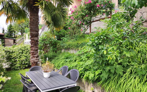 Casa dei Gelsomini: Pianta, Proprietà, Comunita 'Impianto, Fiore, Costruzione, Botanica, Vegetazione, Mobili Da Esterno, Albero, Biome