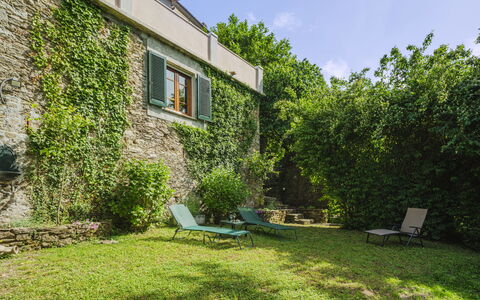 Stella: Pianta, Cielo, Comunita 'Impianto, Costruzione, Finestra, Paesaggio Naturale, Casa, Shade, Lotto, Villetta