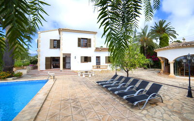 Mozo De Cuadra