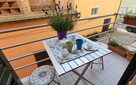 Lucida: Pianta, Tavola, Proprietà, Finestra, Tavolo, Vaso Di Fiori, Legna, Pianta Della Casa, Interior Design, Viola