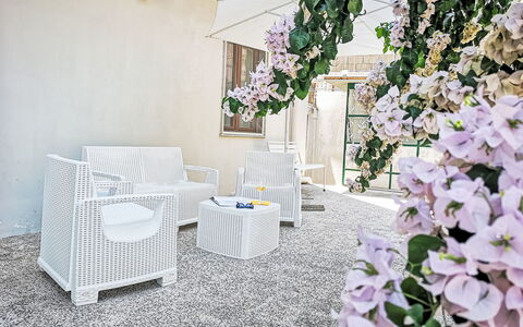 Bougainvillea Home: 