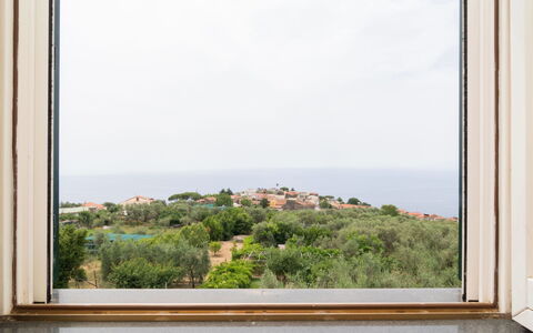 Garden House Li Galli: Cielo, Finestra, Azzurro, Rettangolo, Vegetazione, Nube, Costruzione, Pianta, Legna