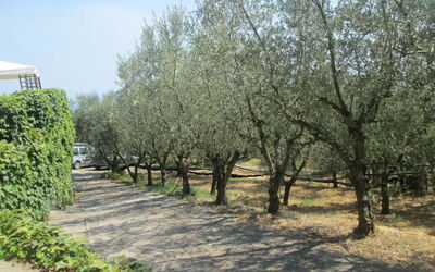 Garden House Li Galli