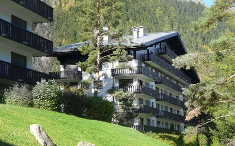 Chamonix 100: Costruzione, Proprietà, Pianta, Finestra, Albero, Montagna, Verde, Natura, Vegetazione, Urban Design