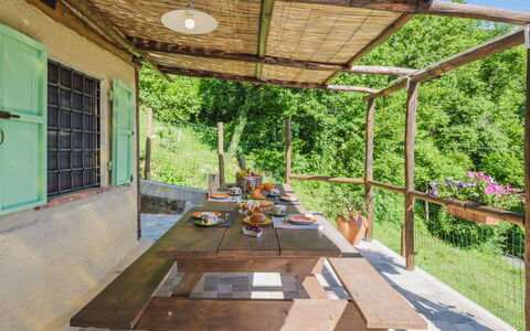 Il Nido: Pianta, Proprietà, Shade, Finestra, Legna, Interior Design, Erba, Vaso Di Fiori, Tempo Libero, Mobili Da Esterno
