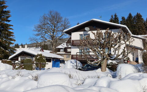 Harrachov 417: Proprietà, Cielo, Tavolo, Legna, Shade, Pavimento, Mobili Da Esterno, Sedia, Pavimentazione, Color Legno